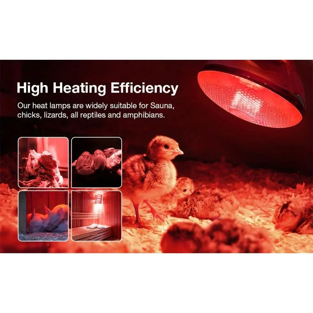 2 Pack 250W Red Infrared Glass Heat Lamp Bulbs, E26 Base Flood Light for Food Service, Pet Bathroom Light Therapy Use, Brooder