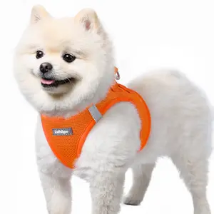Rabbitgoo Minifit Small Step-in Dog Harness