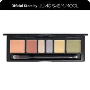 [Jungsaemmool] Artist Concealer Palette | Makeup Artist Brand | Color Corrector | Blemish Redness Dark Circles Cover Up | Brush Included | Skin & Blend | Flawless Cover | Skin Correcting