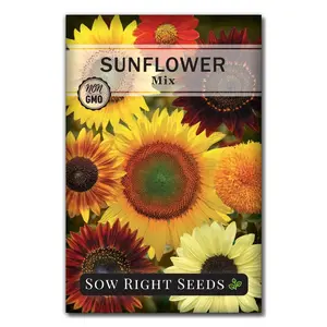 Sunflower Mix Seeds