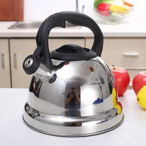 European Stainless Steel Whistling Kettle, Anti-Scald Handle, Thick Bottom, Universal Kitchen Use, 1 Piece