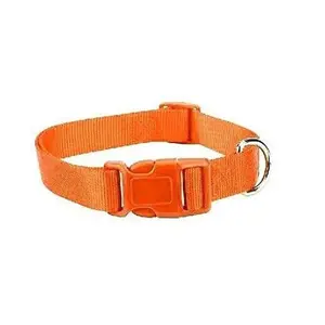 Zack & Zoey Orange Dog Collar Bulk LOT Packs 4 Sizes Nylon Litter Band Puppy Rescue Shelter