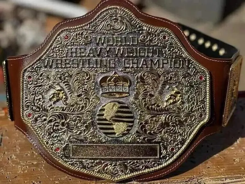 BIG GOLD World Heavyweight Championship Replica Tittle Belt Brown 6MM DieCasting
