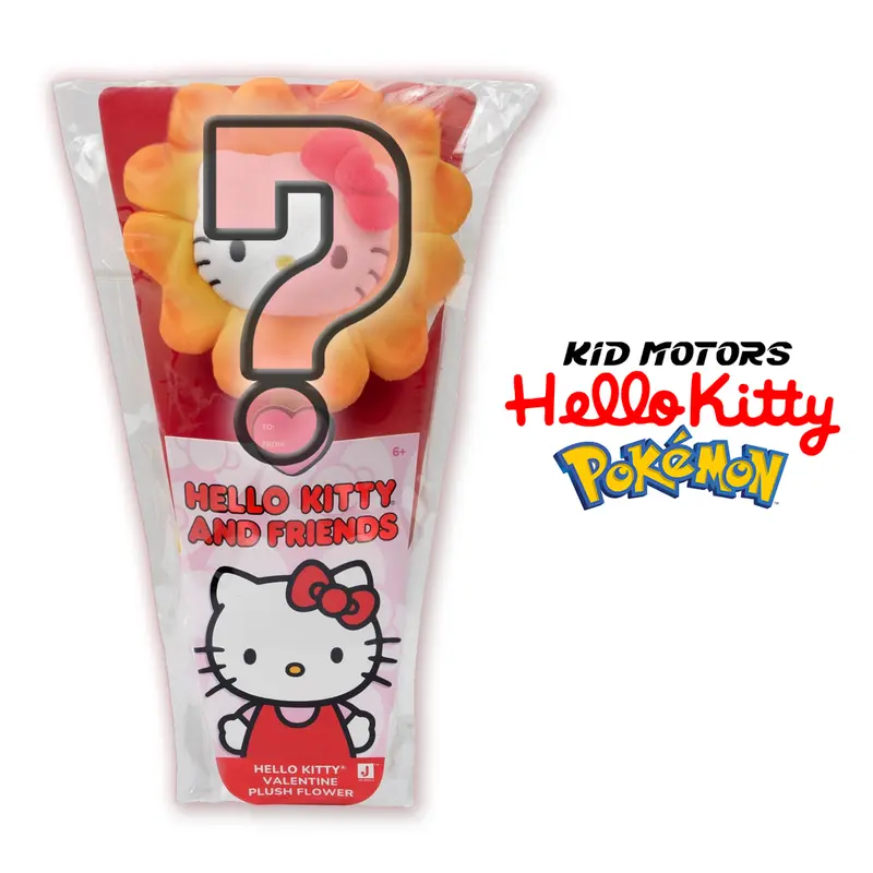 Hello Kitty plushes - TikTok Shop