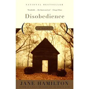 USED-Disobedience by Hamilton, Jane (Paperback)