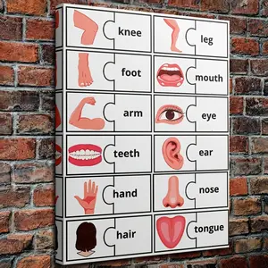 1 Piece Human Body Parts Educational Wall Art - 11.8x 15.7inch (30x 40cm ) with Labels Head to Toe Anatomy Regenerated Wood Frame Canvas Painting, Suitable for Classroom, Kindergarten, and Home Decoration