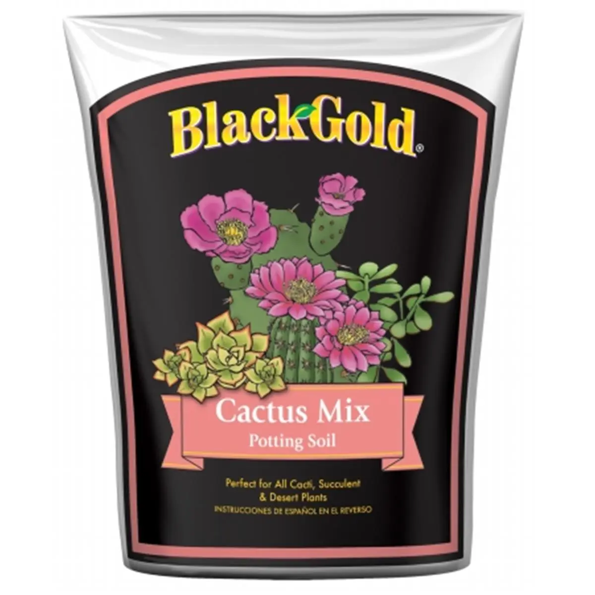 212 MAIN Cactus Garden Pumice Mix - 8 Qt Potting Blend with Drainage Aid, Ideal Soil Structure for Garden Use
