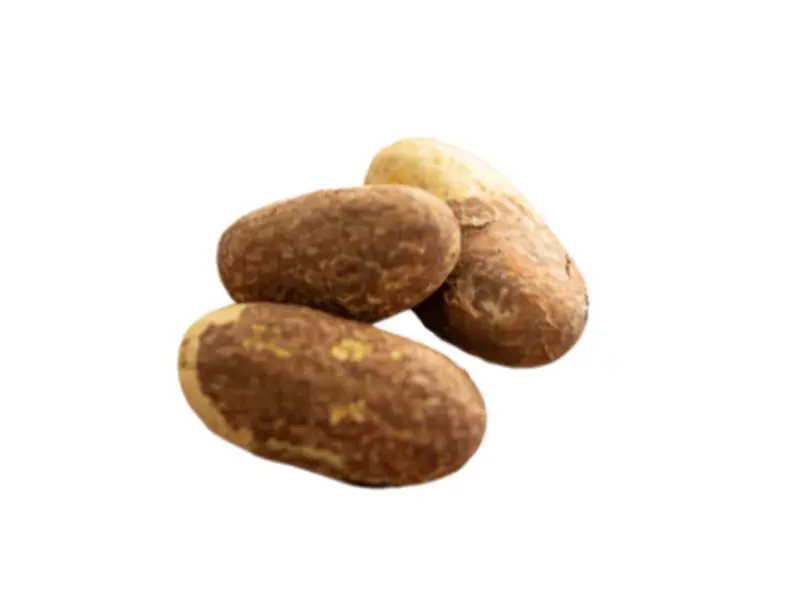 Bitter Kola Nut (Garcinia Kola) – 200g (7.05oz) 100% Natural Herbal Seeds | Traditional African Wellness