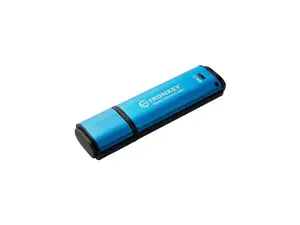 Kingston Vault Privacy 50 Series 64GB USB-C 3.2 Gen 1 Flash Drive IKVP50C64GB
