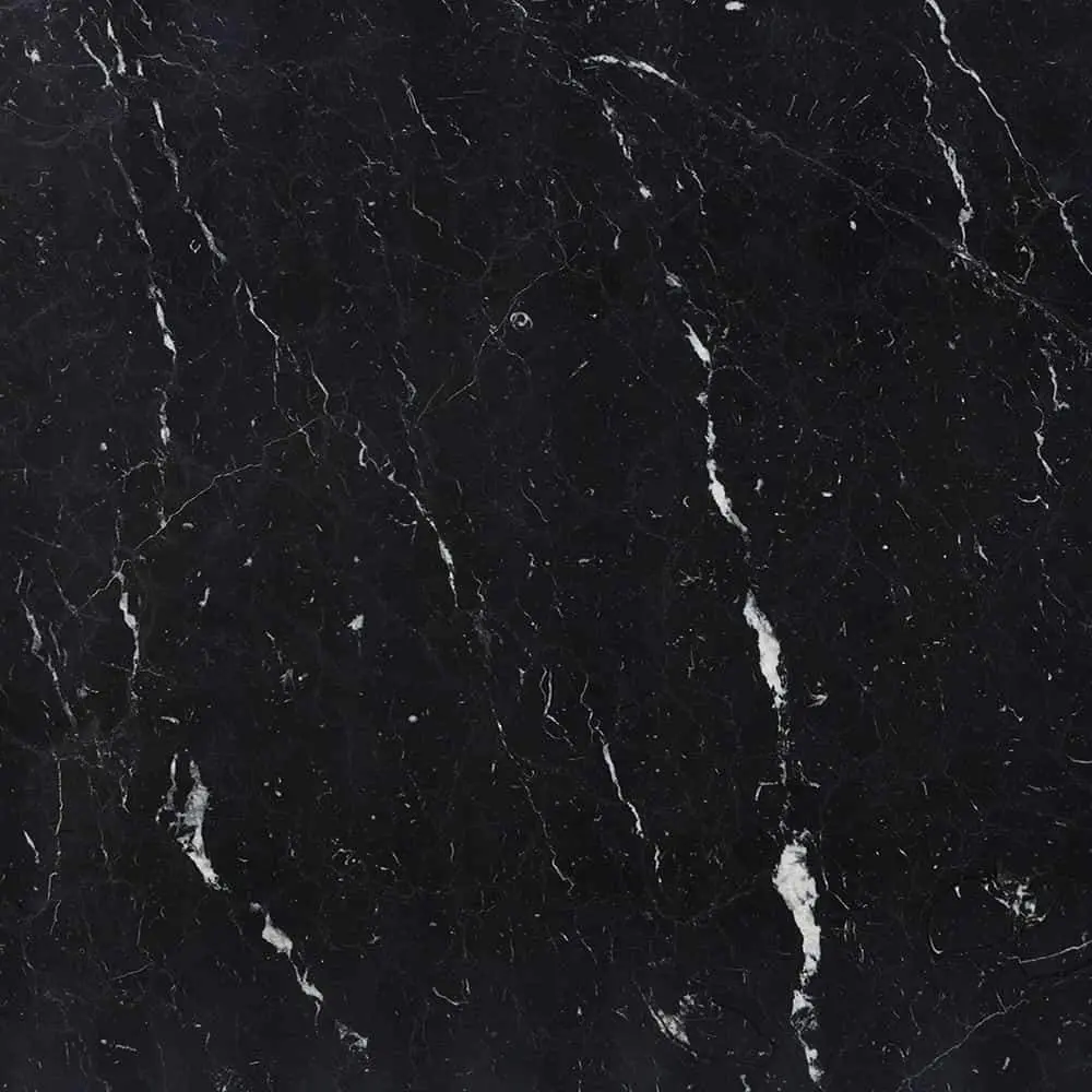 Nero Marquina 24×24 Polished/Honed Marble Tile Sample