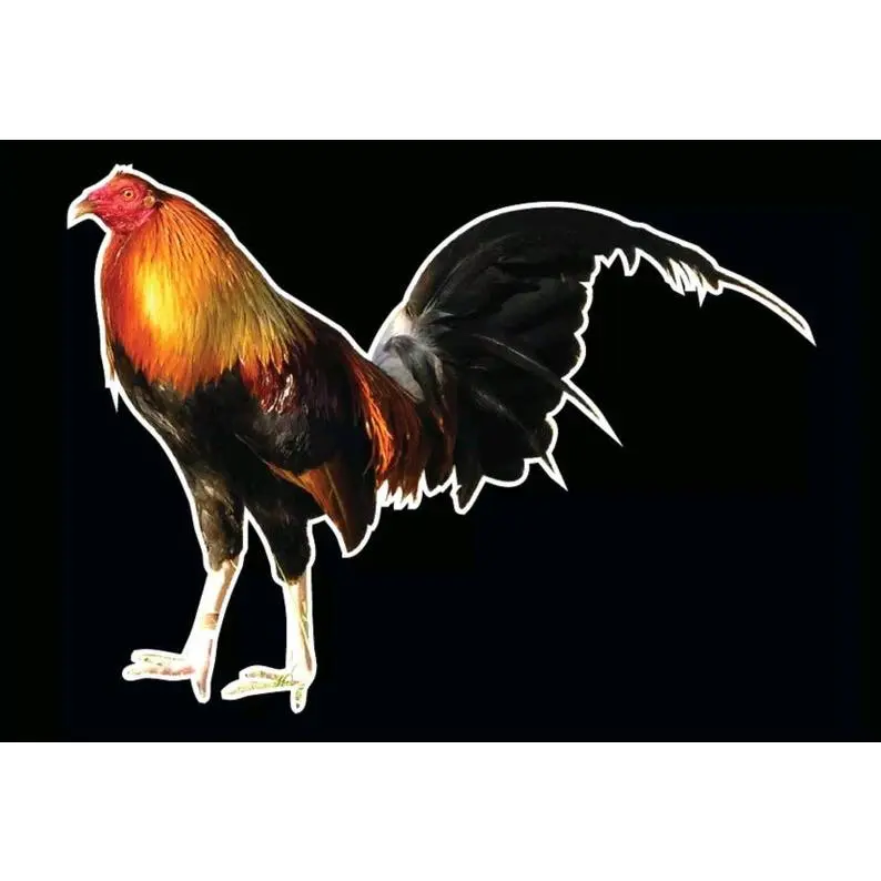 Rooster Bird Farm Decal Car Window Vinyl Sticker truck Wall Trailer Hen Chicken