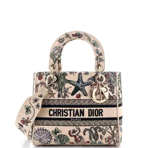 Pre-owned Dior Raffia Top Handle Bags Christian Lady D Lite Bag Embroidered Medium by Rebag