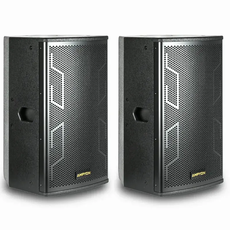 Ampyon LS-12ES Professional Karaoke Speaker, Durable Audio Equipment for Home Entertainment, Magnetic