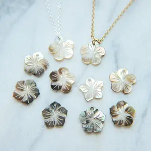 Natural Shell Choker Necklace