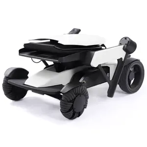 Electric folding wheelchair for adults with remote control and electric height adjustment, equipped with dual 500W motors, all-terrain mobility scooter, Tivaro-EW8001