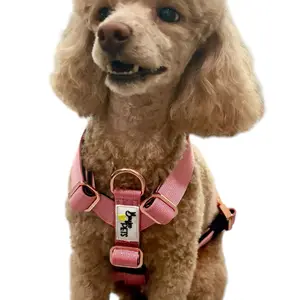 Boujee Luxury Heavy Duty Dog Harness + Leash Set for XSmall & Small - Nylon w/Neoprene Padding