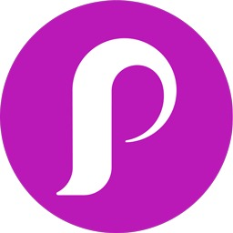 Perfect Locks Hair Extensions