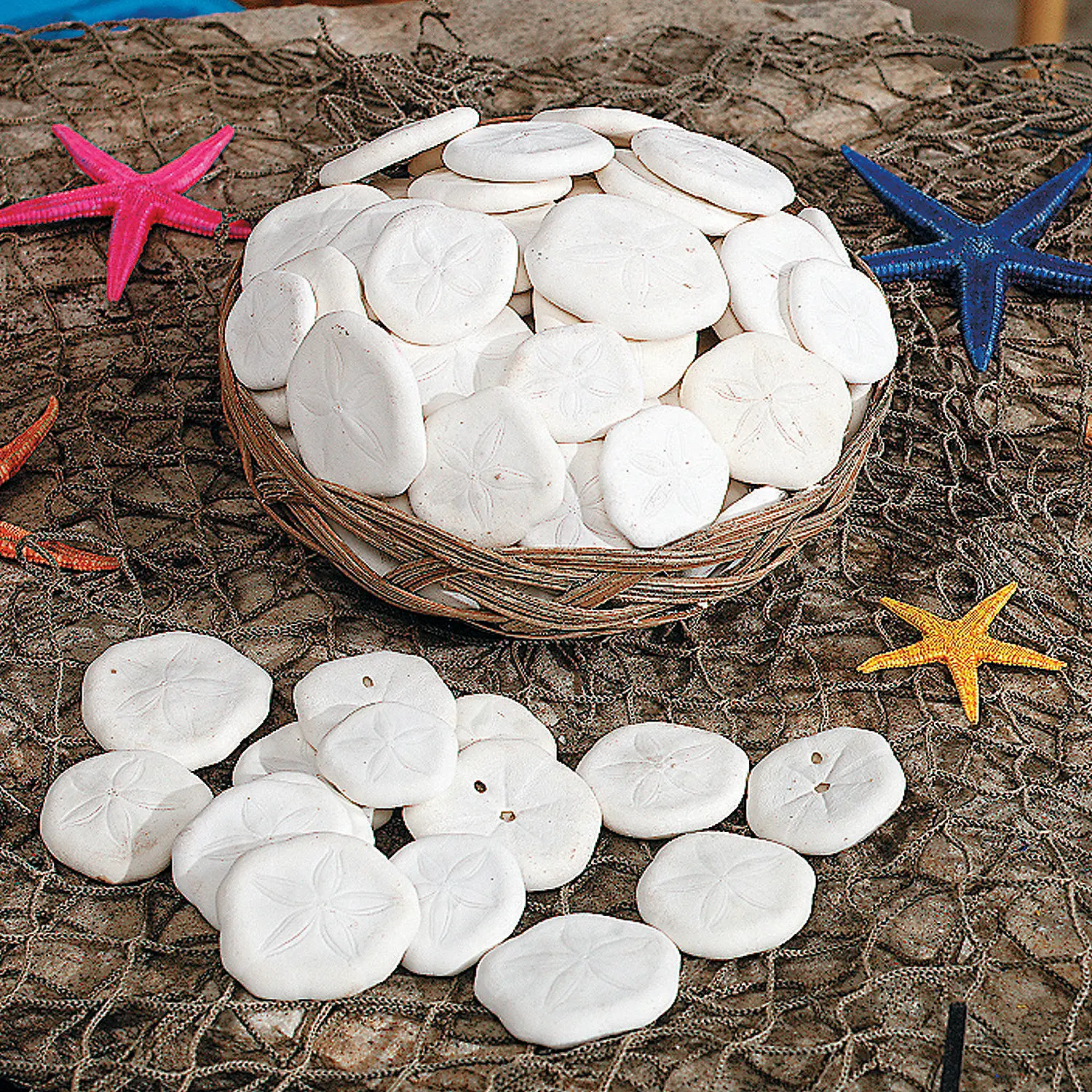 Genuine Sand Dollars Set with Basket, Including Seashells, Fishing Enthusiasts’ Beach Party Guest Memento, Outdoor Leisure Perfect Decoration