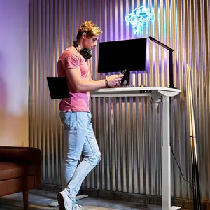 Whole Piece Electric Standing Desk, 48 x 24 Inches Height Adjustable Desk, Sit Stand Desk Home Office Desks - Black