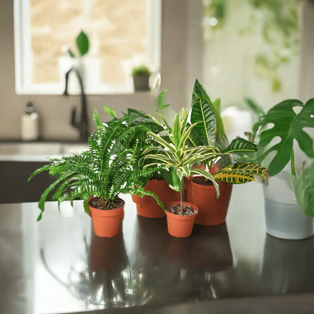 Air Purifying Live Potted Plants Variety Pack - Multi-Size, Indoor Home & Garden Use Bundle