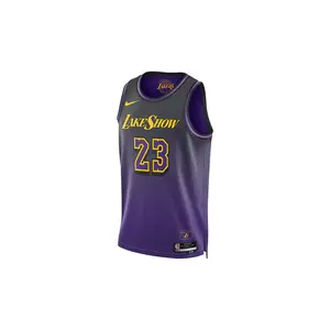 NBA LEBRON JAMES LOS ANGELES LAKERS 2024/25 CITY EDITION SWINGMAN JERSEY "Field Purple" FQ4346 504