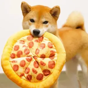 Plush Dog Toys Pizza Shape Pet Squeak Sound Toys For Dogs Puppies Dog Grinding Teeth Chewing Toy Pet Supplies