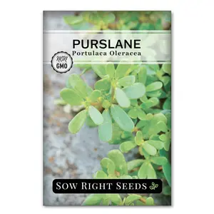 Purslane