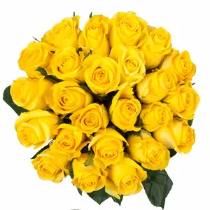 Yellow Roses - Choose from 25 to 200 Stems