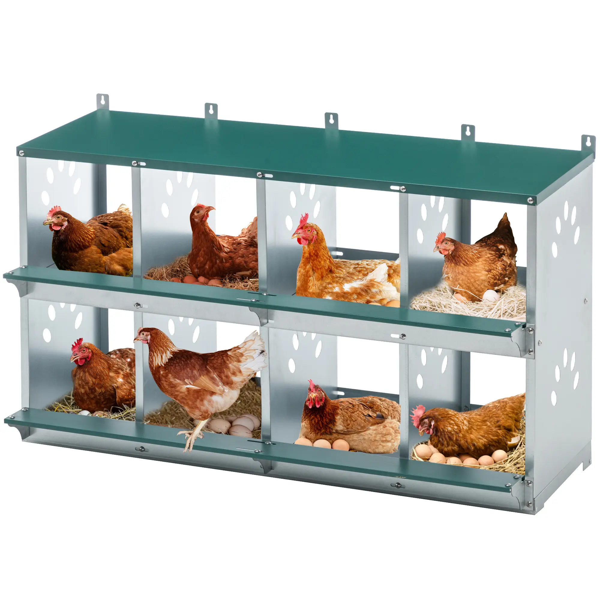 DOMISO Metal Chicken Nesting Box, 8 Room Nesting Boxes for Poultry, Galvanized Steel, Easy to Install, Durable Design, Easy to Wash