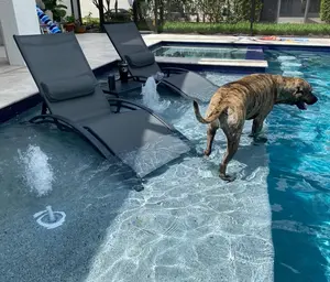 PURPLE LEAF Patio Chaise Lounge Set Outdoor Beach Pool Sunbathing Lawn Lounger Recliner Chair Outside Chairs with Side Table Included