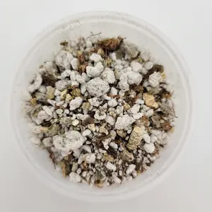 Mexican Pinguicula soil mix