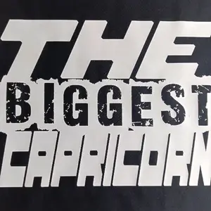 The Biggest T Shirt Menswear Top