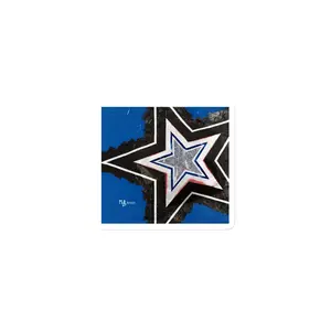 Strong Star Magnet – Matte Fridge & Whiteboard Magnet for Kitchen – Office & Home Decor