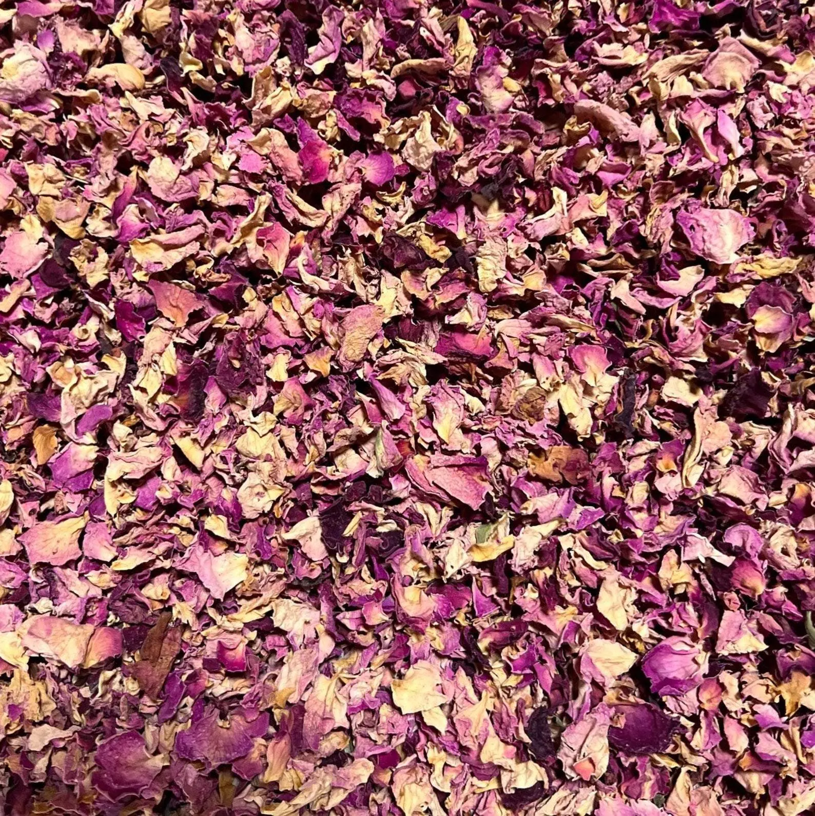 Rose Petals