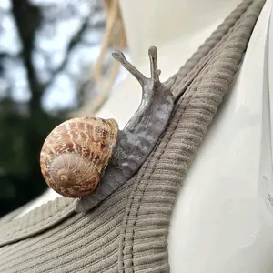 Hyper-Realistic Snail Pin