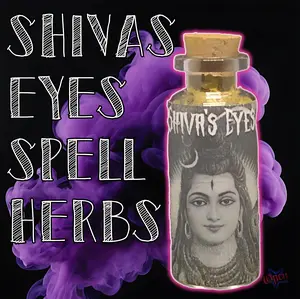 Shivas Eyes | Spell Herbs