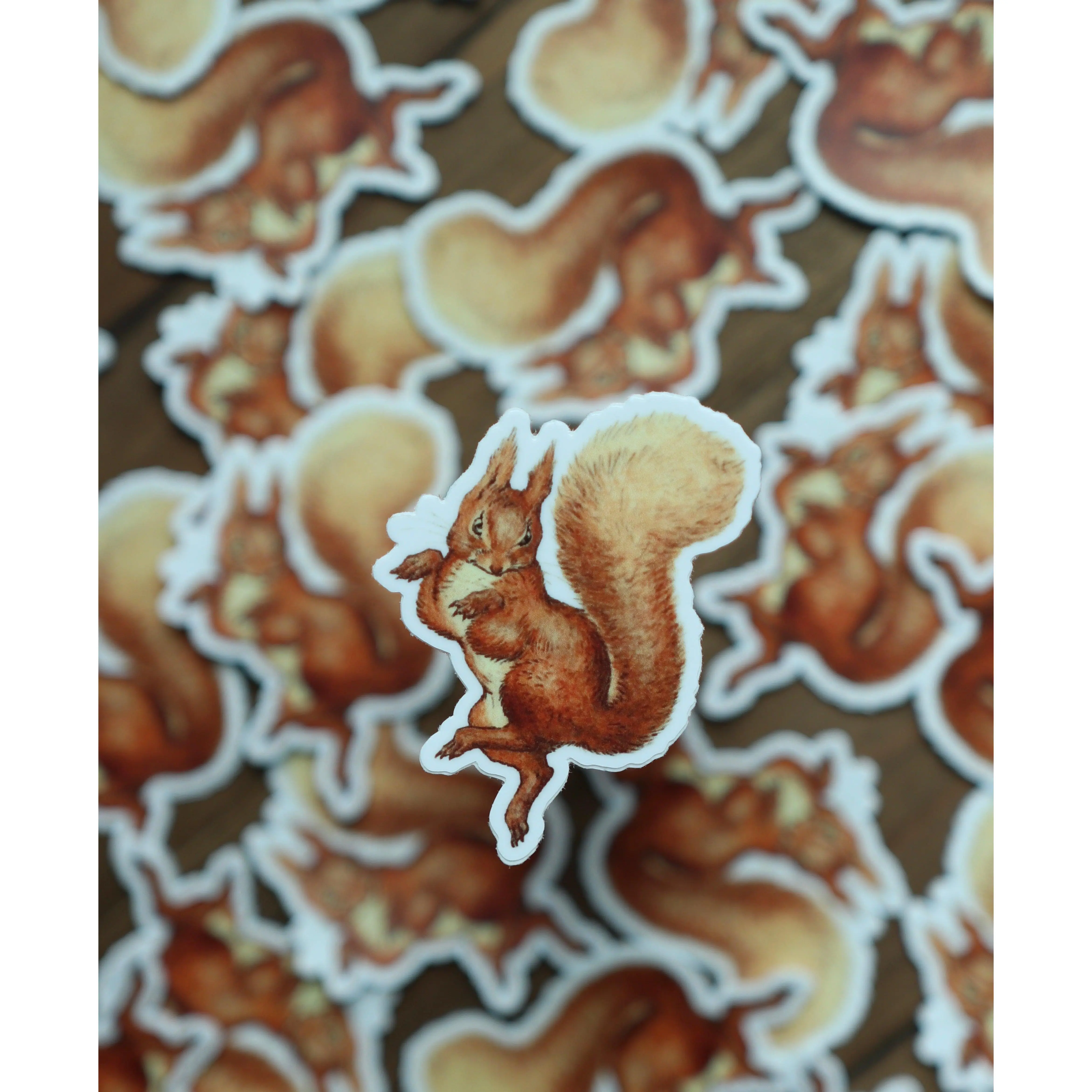 Sticker - Squirrel Nutkin Sticker - Squirrel Nutkin