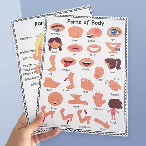 Children Body Parts Poster, Early Education Teaching Aid, English Word Learning Chart, Educational Toy for Kids, Visual Learning Tools, Home Schooling Resource, Teaching Supplies, Preschool Learning Materials, Learning Materials