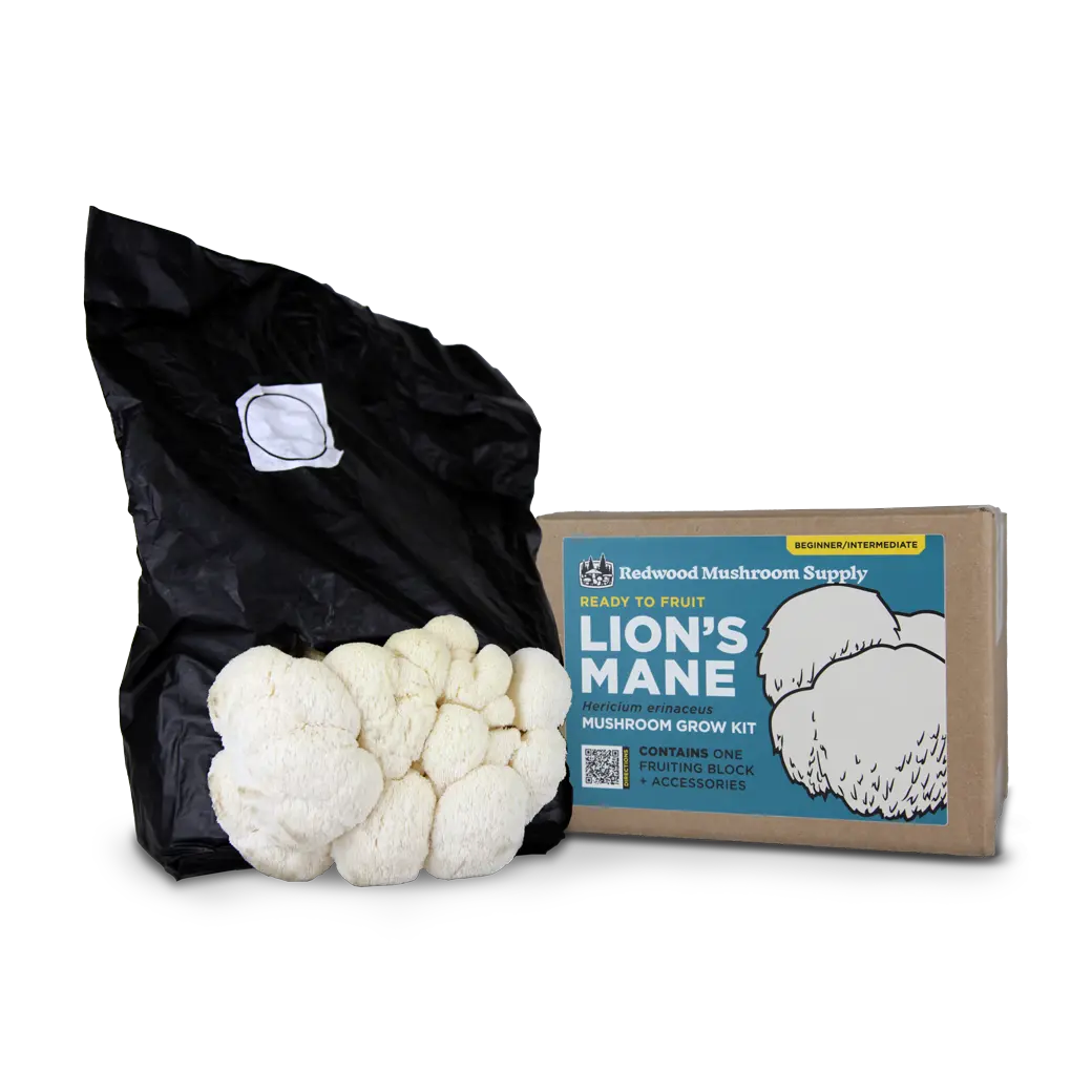 Lion's Mane Mushroom Grow Kit Lion's Mane Mushroom Grow Kit