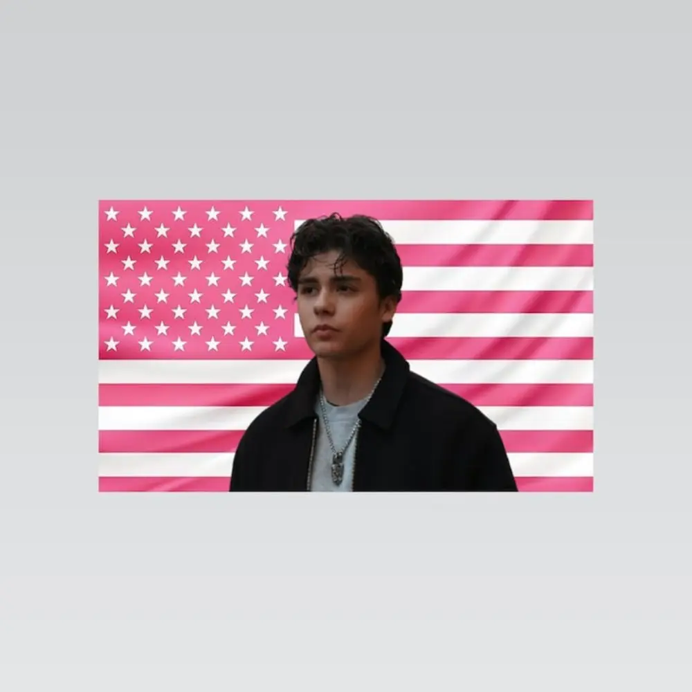 2D Flat - 2D Flat - Single Piece 2D Flat Pink American Flag – Stylish Wall Decoration for Bedrooms Or Dorms – Perfect Gift for Fans,family,dormitory