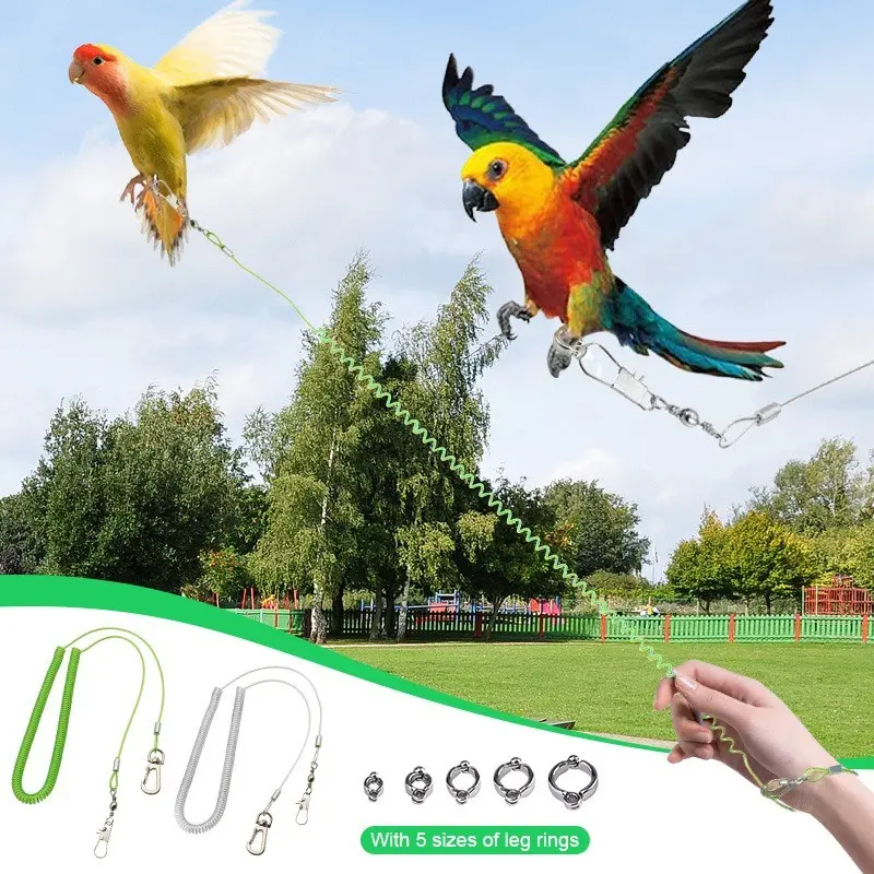 Retractable Bird Harness, Anti-Bite Leash with Ankle Chain, Universal for Small Medium Parrots, Multi-Color Stainless Training Rope