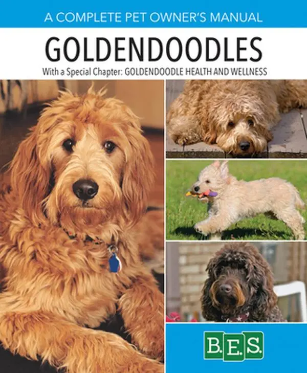 USED-Goldendoodles by MacKenzie, Edie (Paperback)