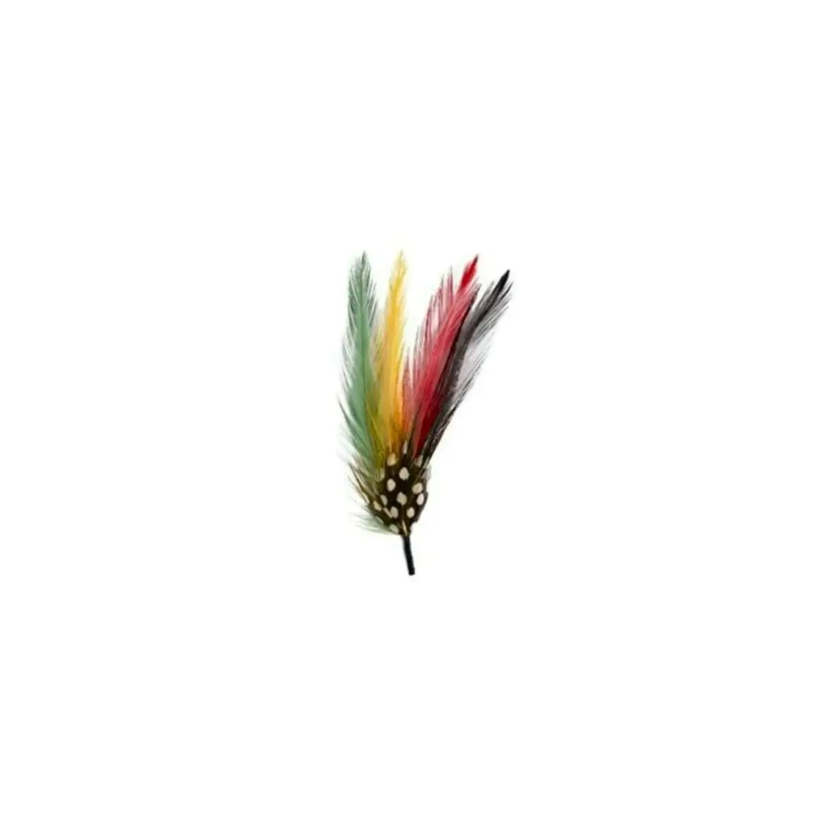 Classic Stetson Feather