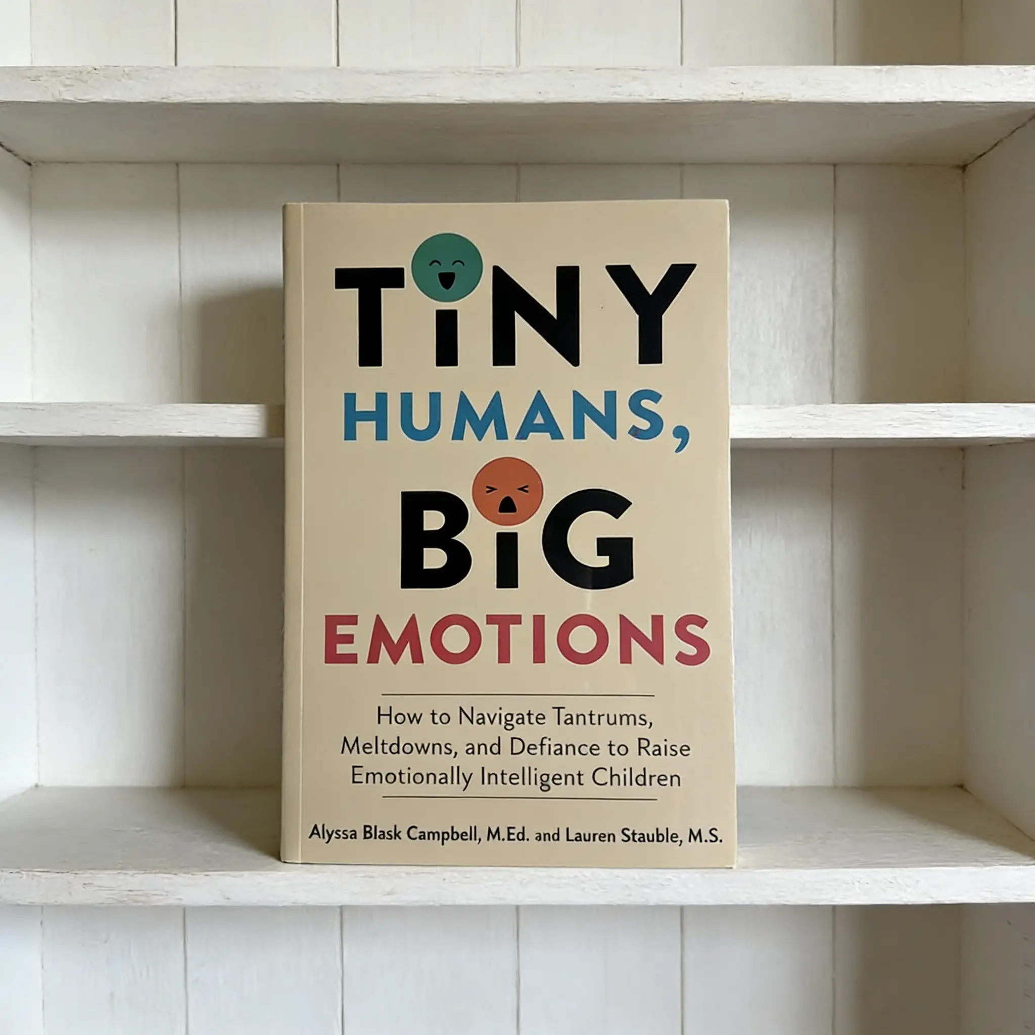 Understanding Emotions, Accepting Kids' Natural Feelings, Teaching Kids to Gently Manage Emotions, Book on Child Psychology