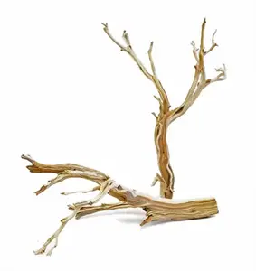 California Driftwood/Ghostwood, 24"
