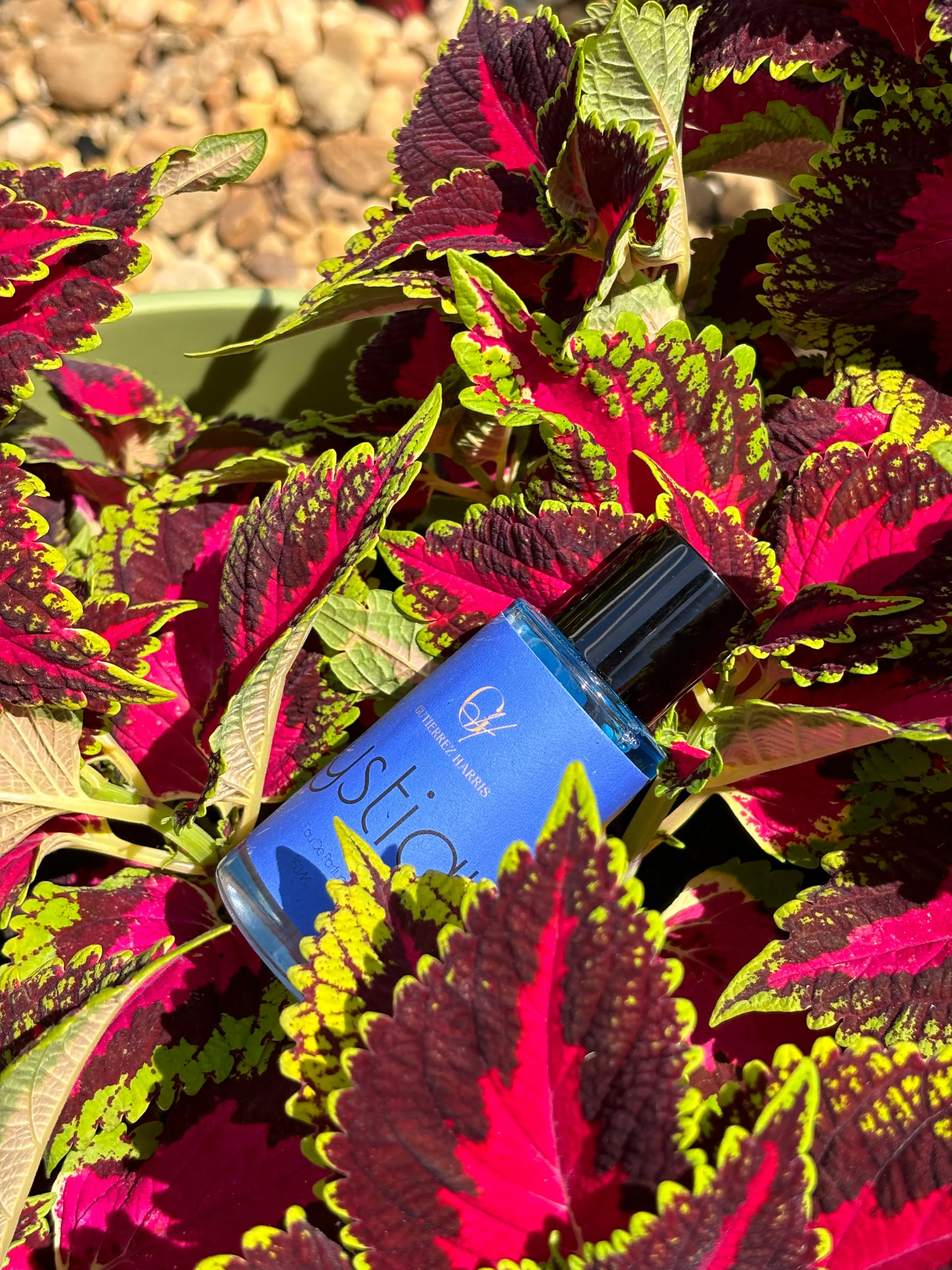 Mystique Eau De Parfum - Tropical Fruits and Exotic Florals