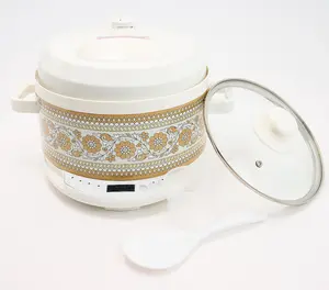 2-in-1 Compact 2qt Pressure Cooker and Slow Cooker Digital Controls Nonstick Inner Pot with 11 Recipes