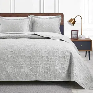 Quilts for Queen Bed Light Grey Bedspreads Bedding Set - Quilt Sets Summer Lightweight Quilted Bedspread Comforter - Coin Pattern Bedding Coverlet for All Season - 3 Pieces (1 Quilt, 2 Pillow Shams)