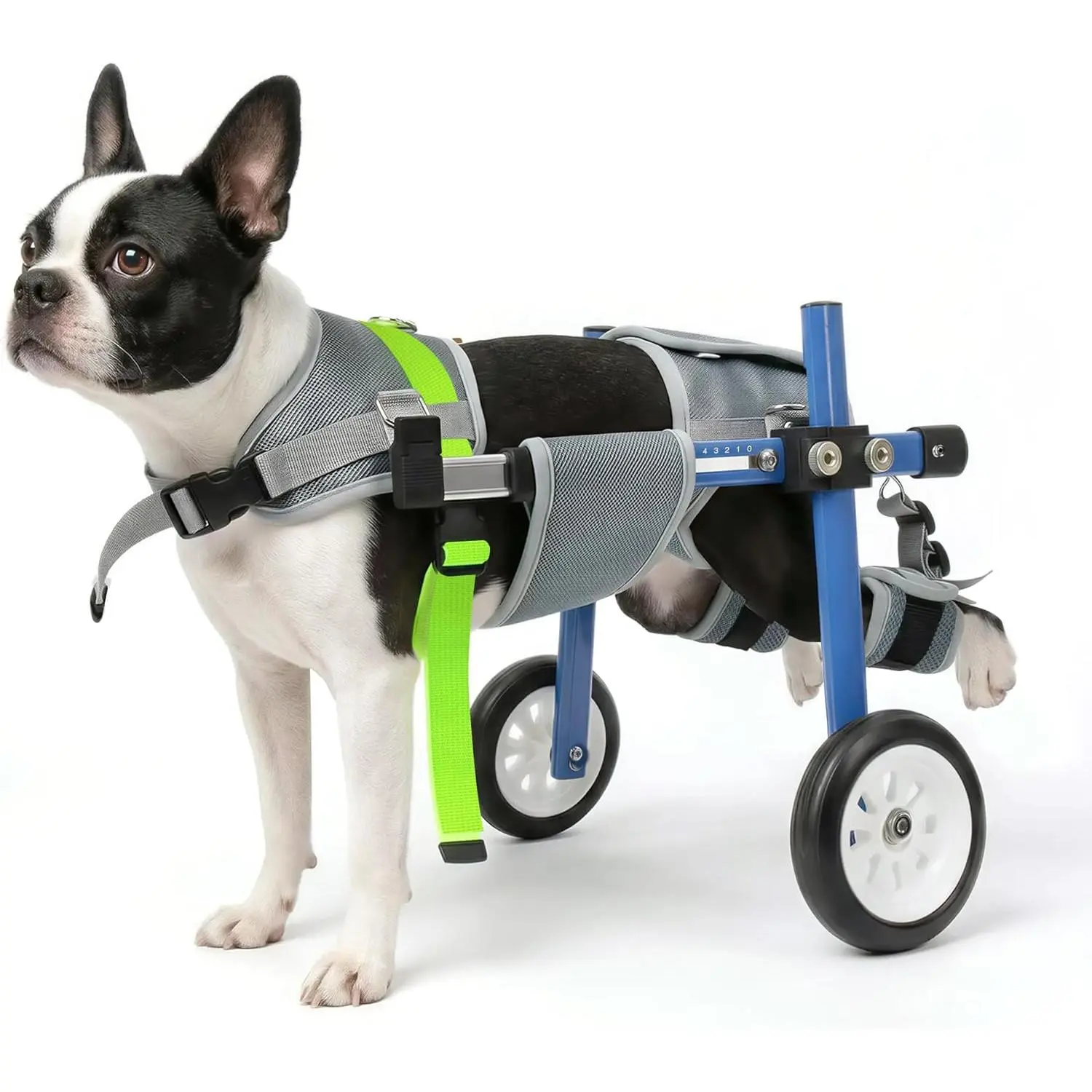 Lightweight and Adjustable Dog Wheelchair for Back Legs, Dog Carts with Wheels for Disabled Dogs, Thick Harness Support Mobility Cart for Pets