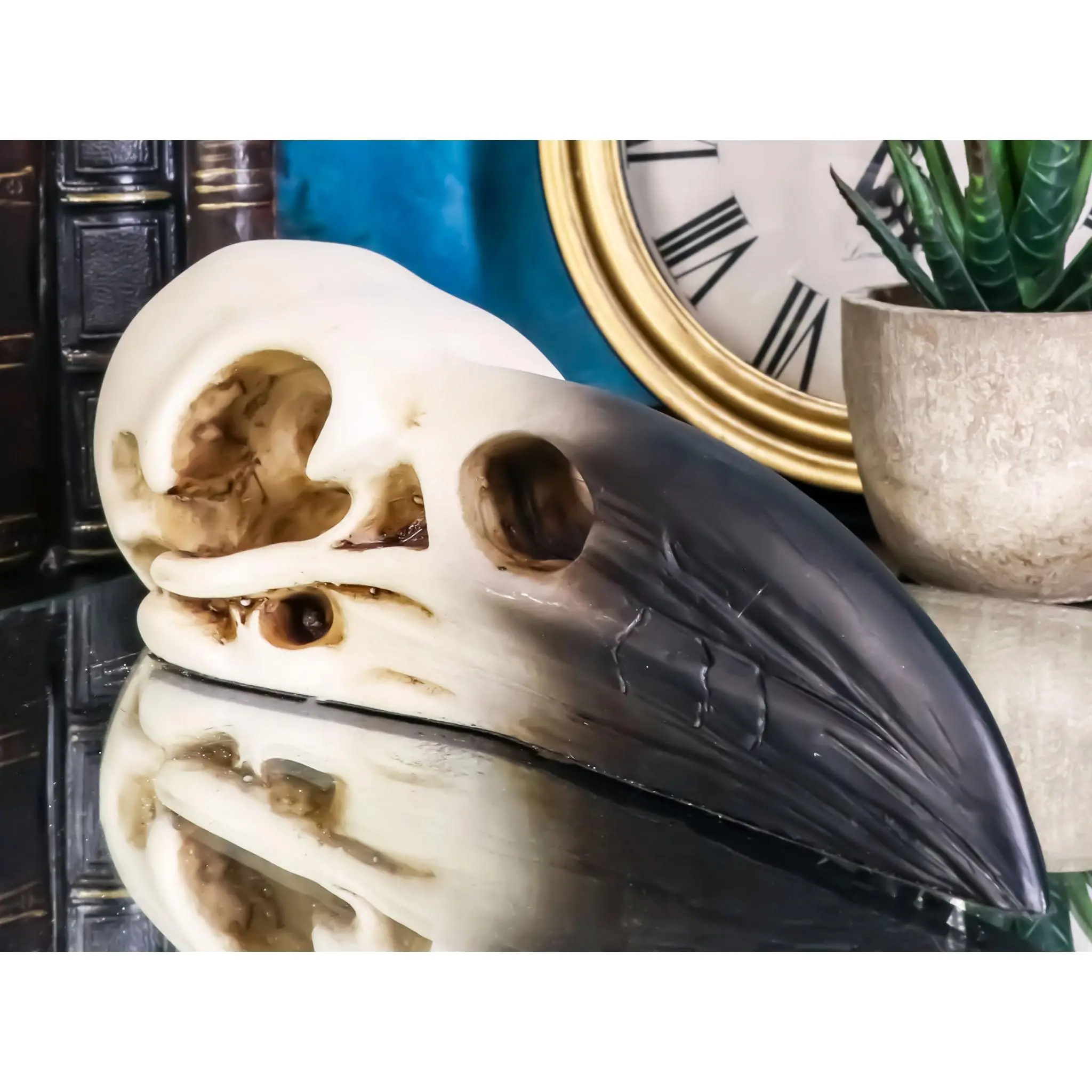 7" Gothic Edgar Poe Resin Raven Skull Sculpture - Scary, Spooky Home Decor Statue, Crow Scavenger Bird Ossuary Figurine